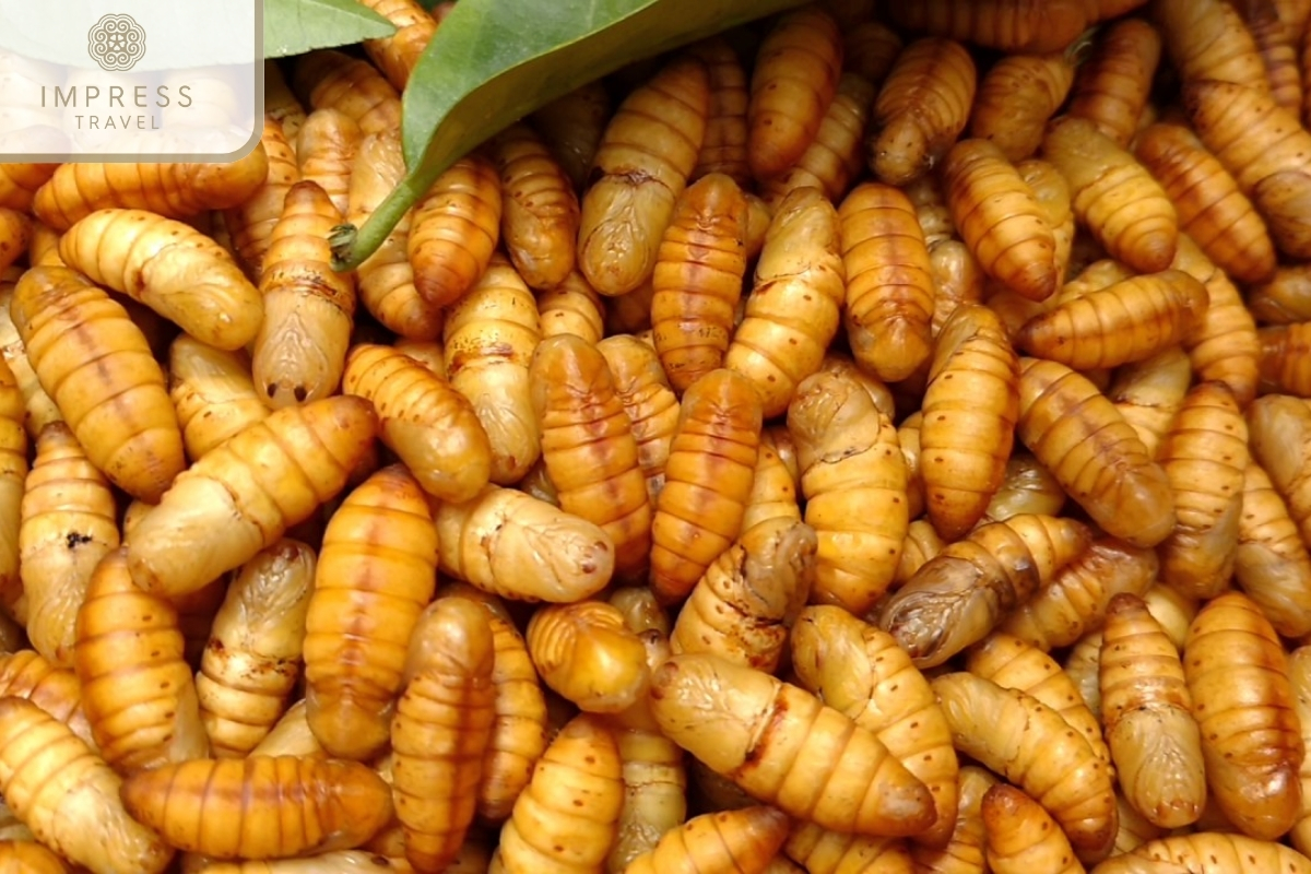 Coconut worms