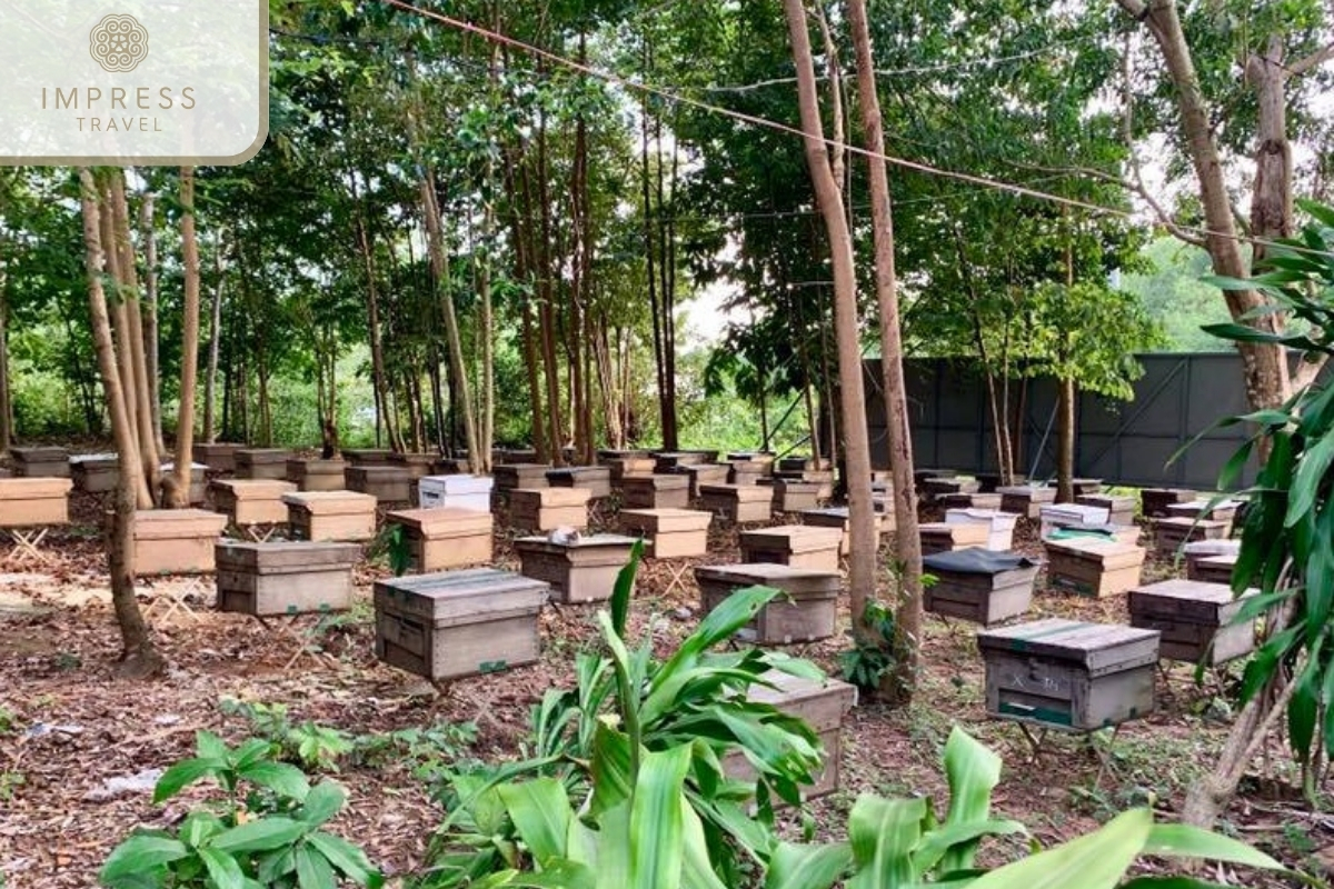 Honey Bee Farms