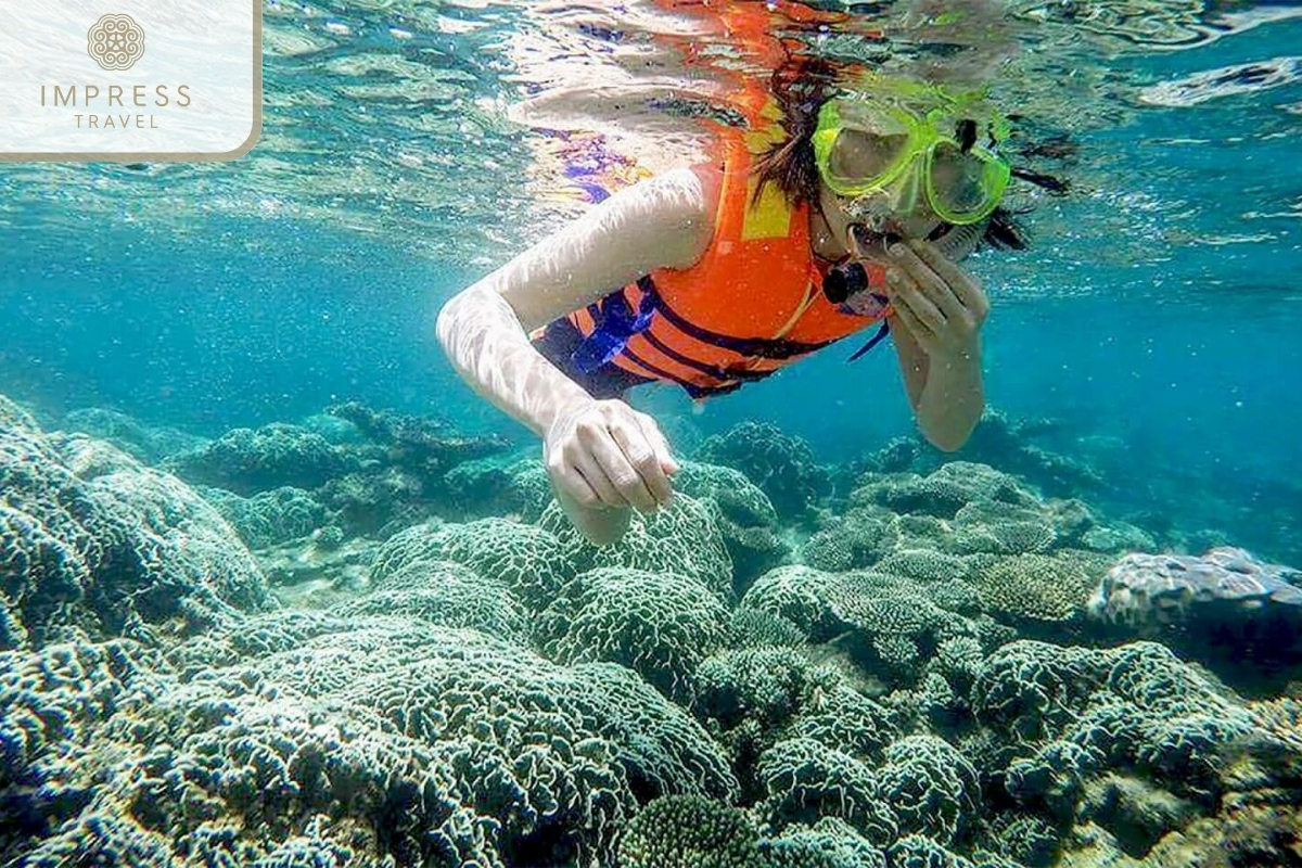 Snorkeling and Scuba Diving