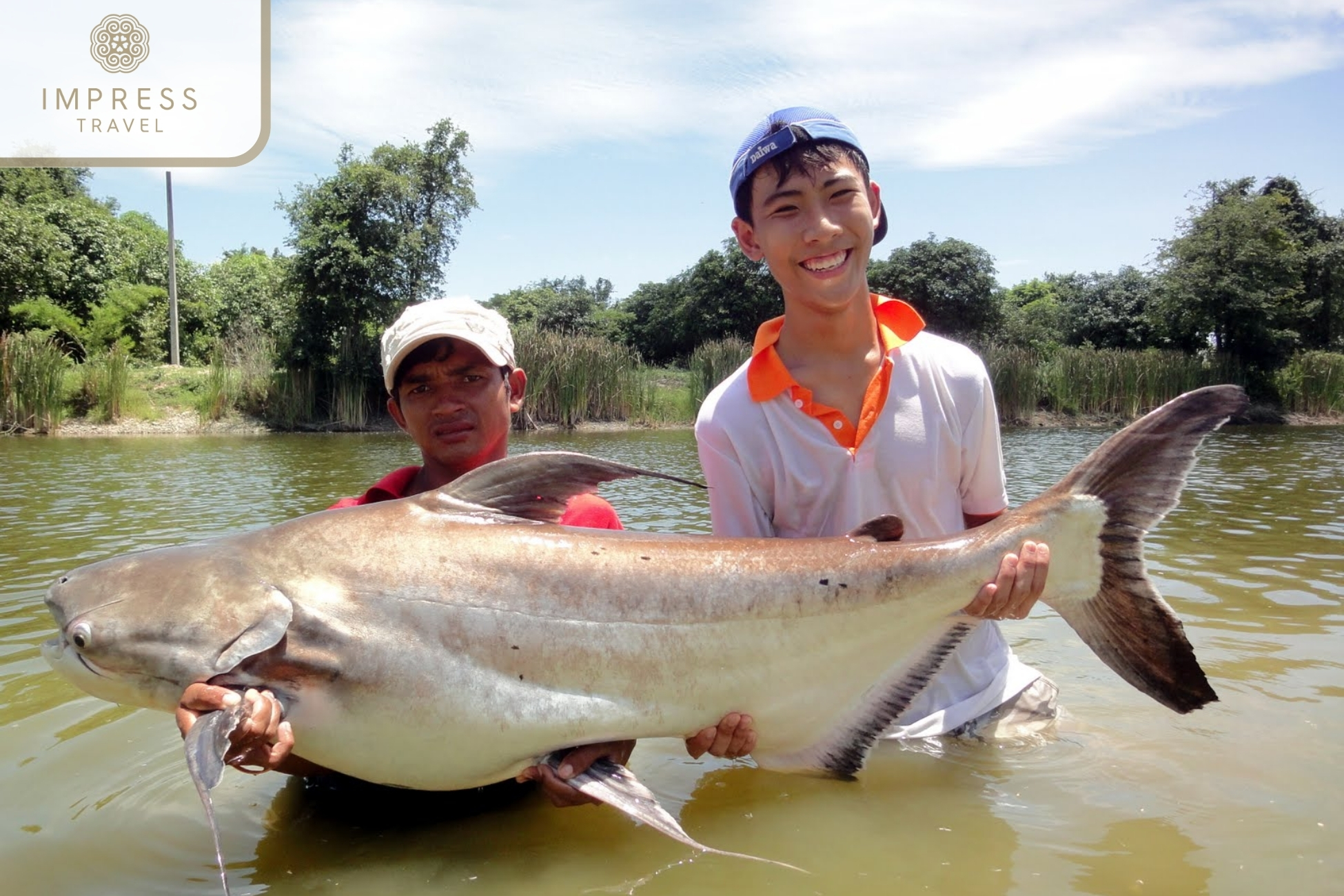 The Mekong Giant Catfish