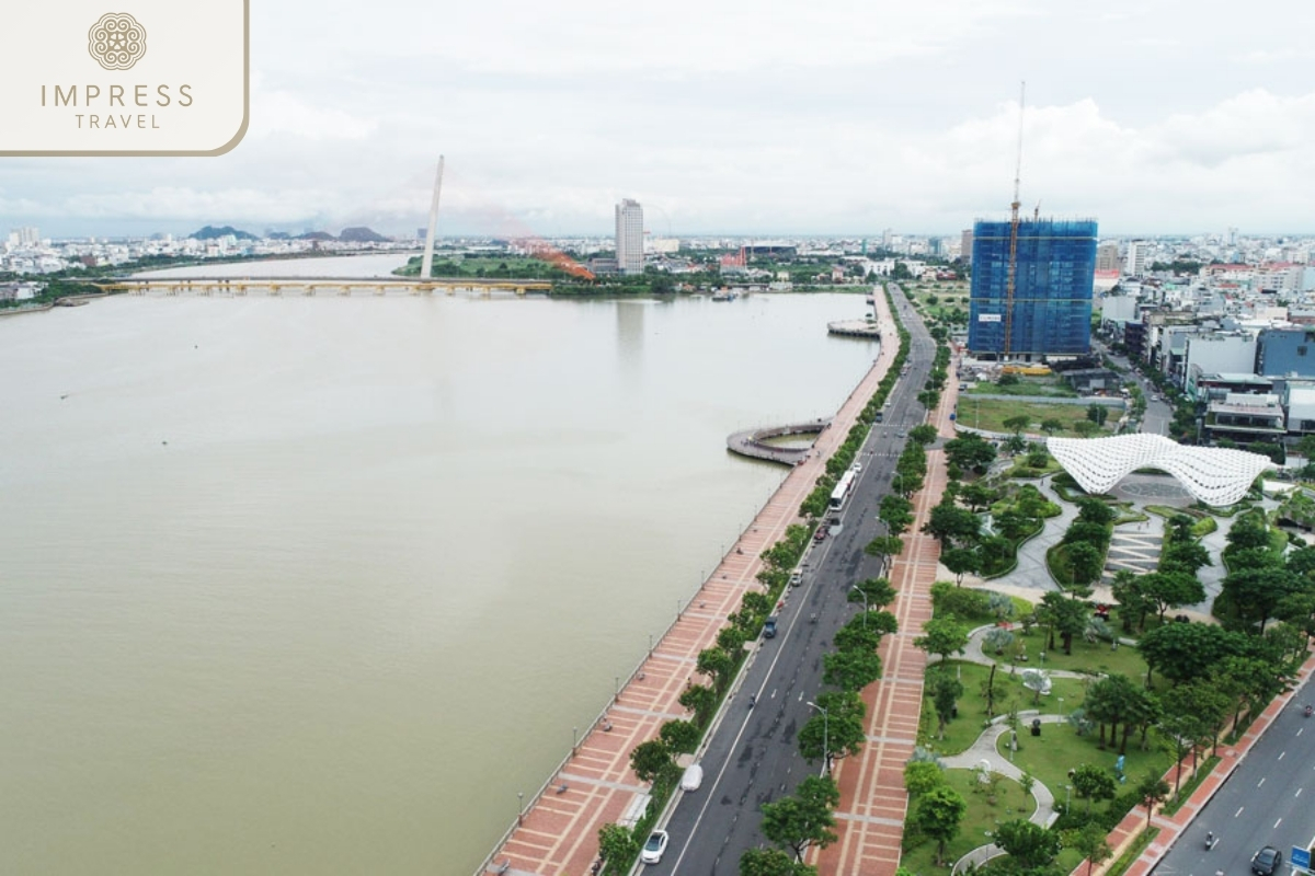 Green trees on the Han River sidewalk