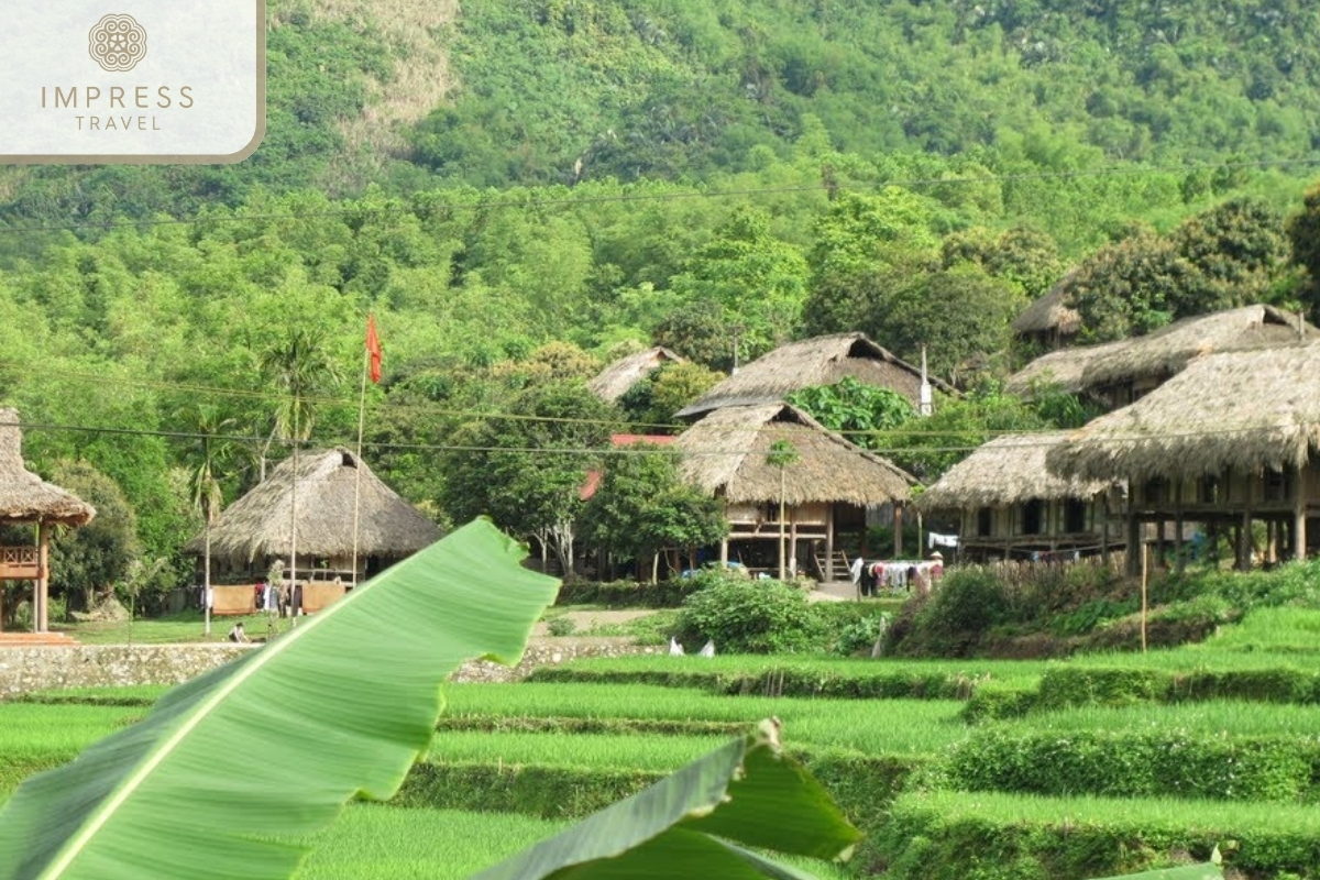 To Kho Muong Village in Muong and Thai Cultures on Trekking Tours in Pu Luong