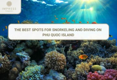 Snorkeling and diving on Phu Quoc Island
