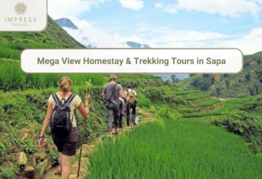 Trekking Tours