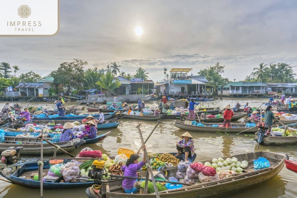 Activities in Mekong Delta