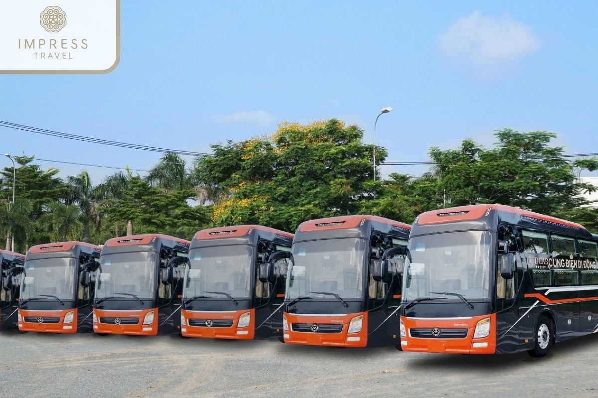 Sao Viet: The Sleeper Buses From Hanoi To Sapa Are Worth A Try 