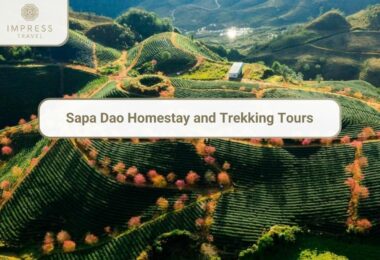 Sapa Dao Homestay