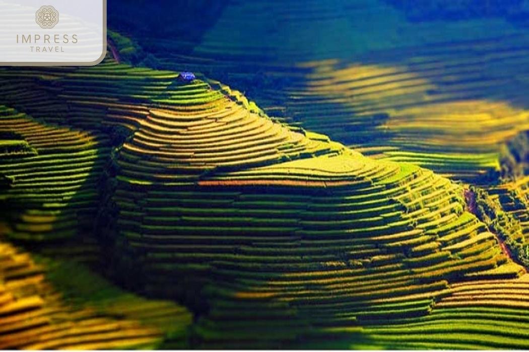 Rice Terraces: Trekking Tours & Dong Suoi H'mong Homestay in Mu Cang Chai