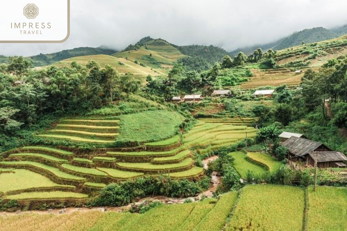 Welcome to Sapa: Sapa Tours to Explore H'mong Villages and People 