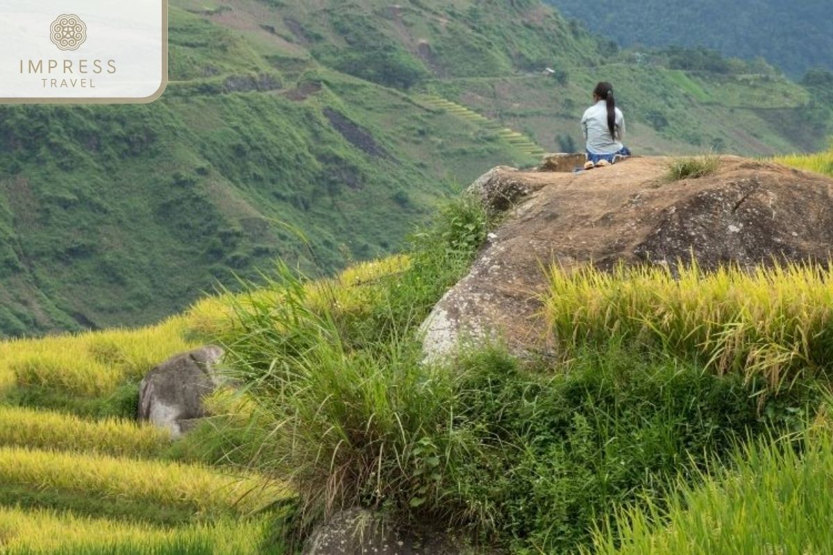 Ancient rock fields: Tours To Visit The Ancient Rock Fields From Sapa 