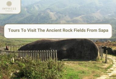 the ancient rock fields