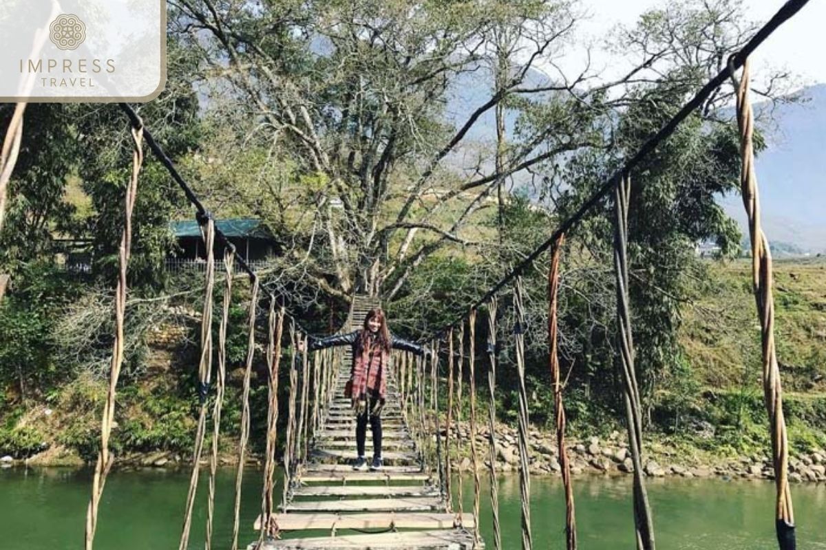 Rattan Suspension Bridge