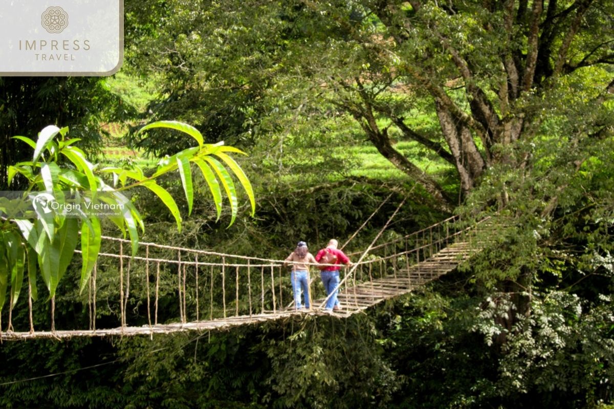 Ta Van: Tours to Visit the Rattan Suspension Bridge in Sapa