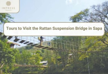 Rattan-Suspension-Bridge