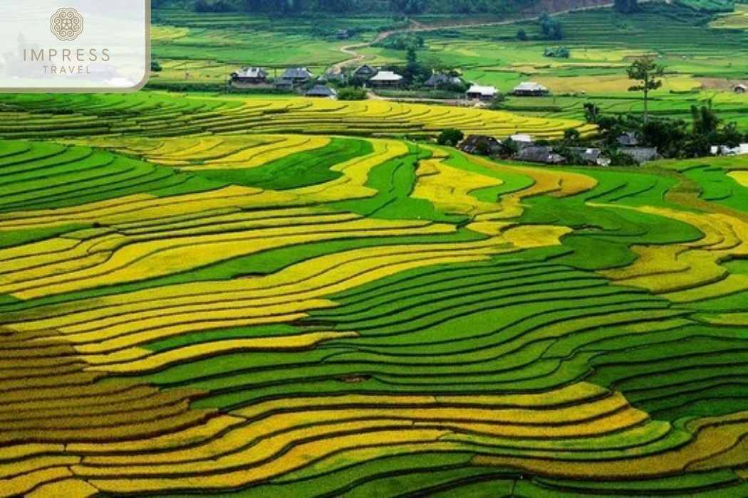 Tu Le Town: Trekking Tours & Dong Suoi H'mong Homestay in Mu Cang Chai