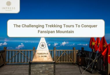 Trekking Tours