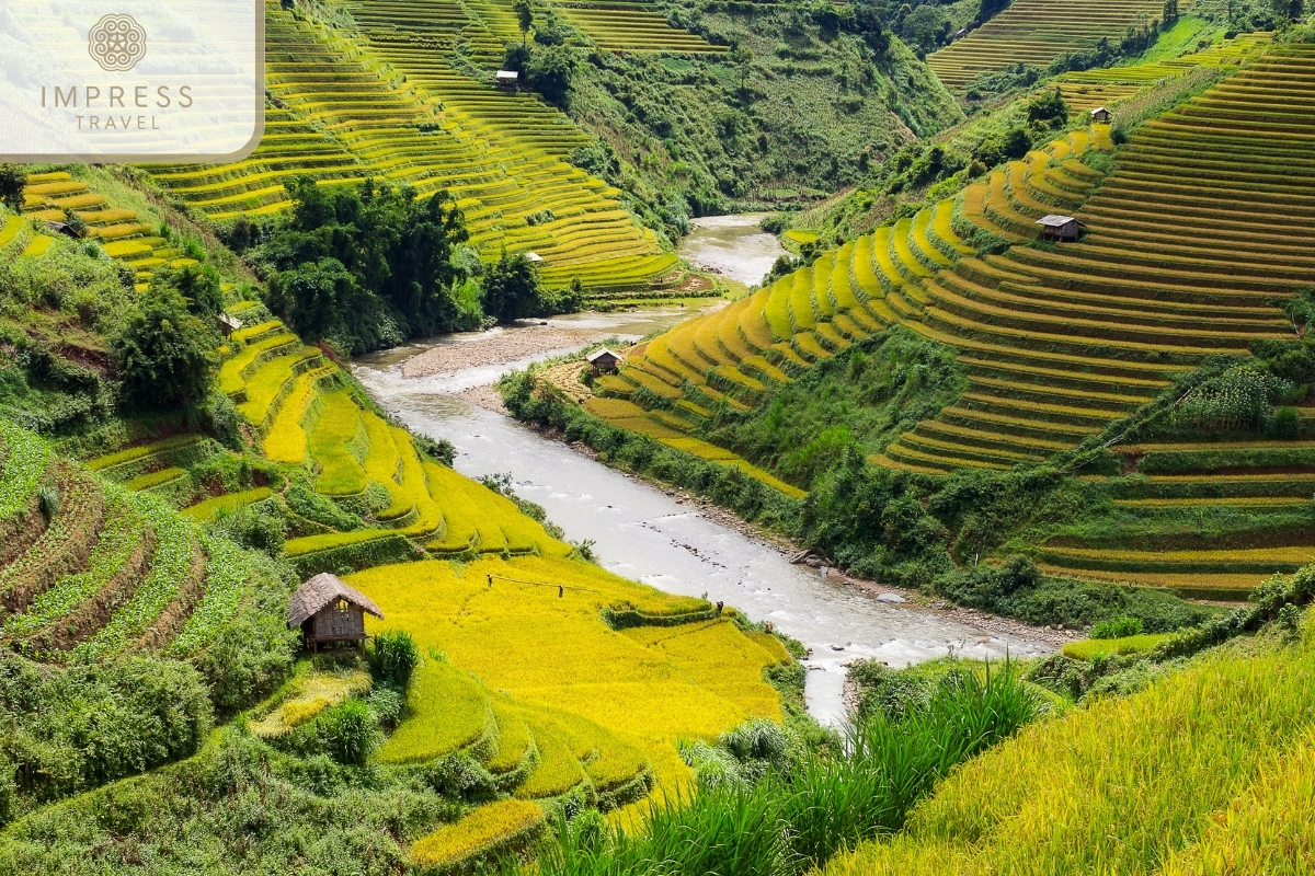 Mu Cang Chai