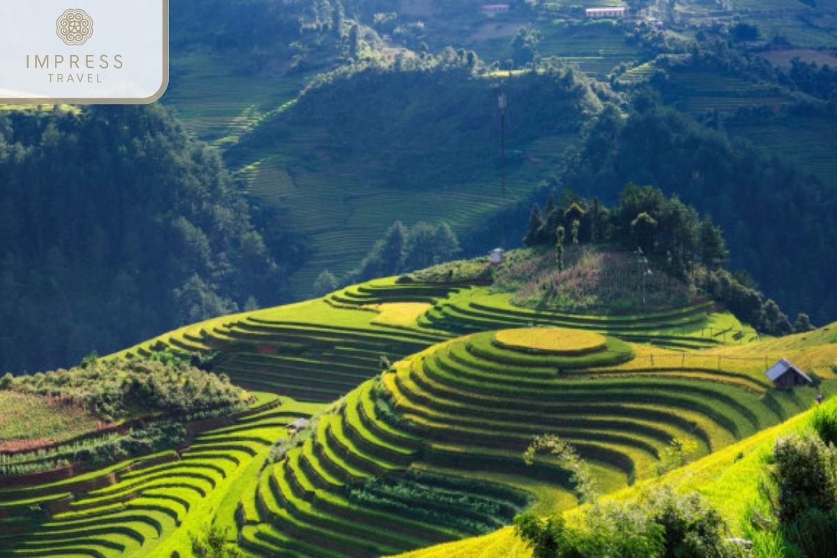 Mam Xoi Terraced Fields of a marvelous tour to visit the H'Mong people in Mu Cang Chai 