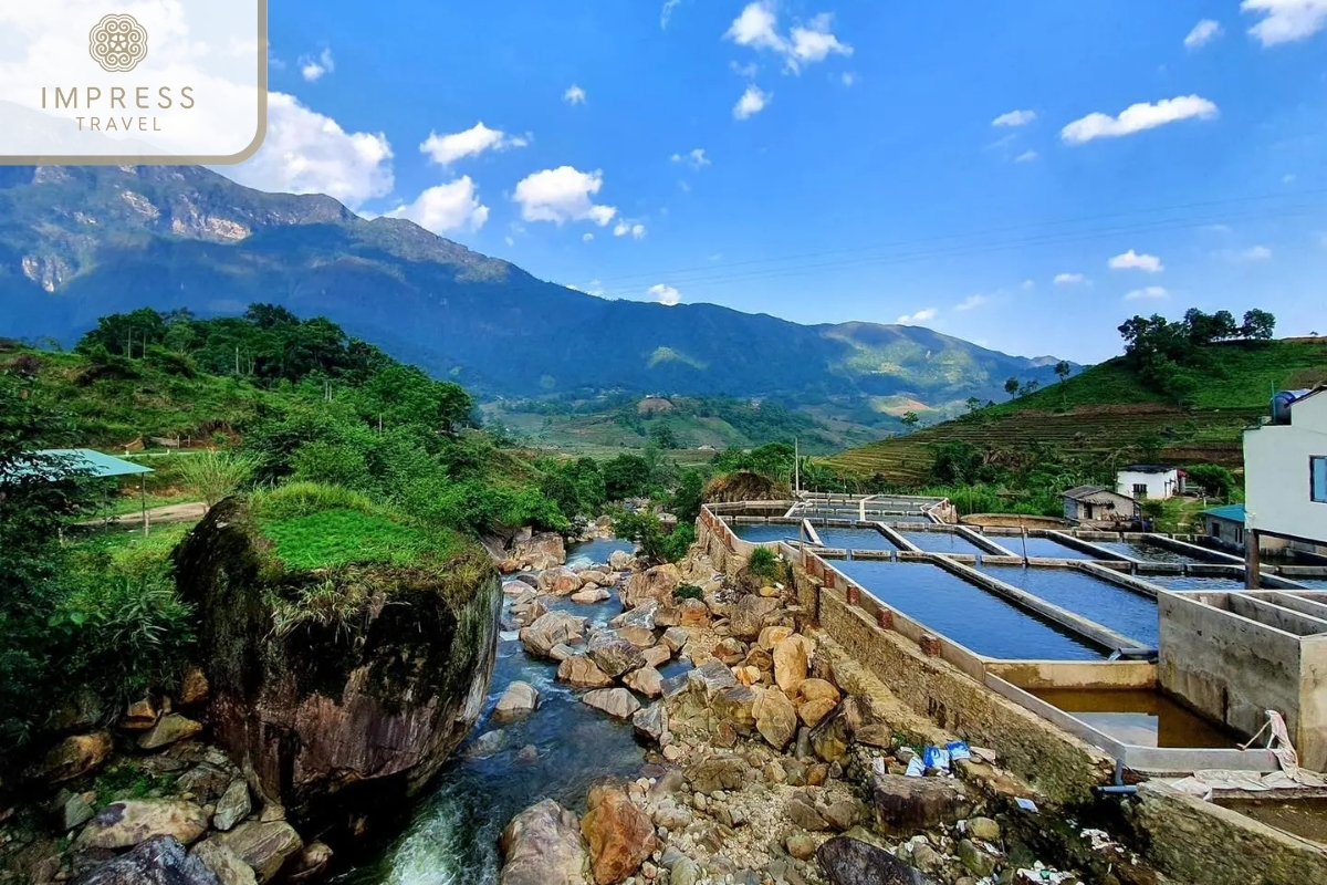 Visiting the Salmon Farm-a Unique Hiking Tour of Seo My Ty Village in Sapa 