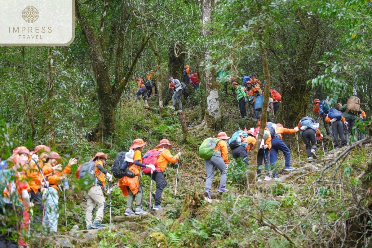 Hiking Through Hoang Lien National Park-a Unique Hiking Tour of Seo My Ty Village in Sapa 