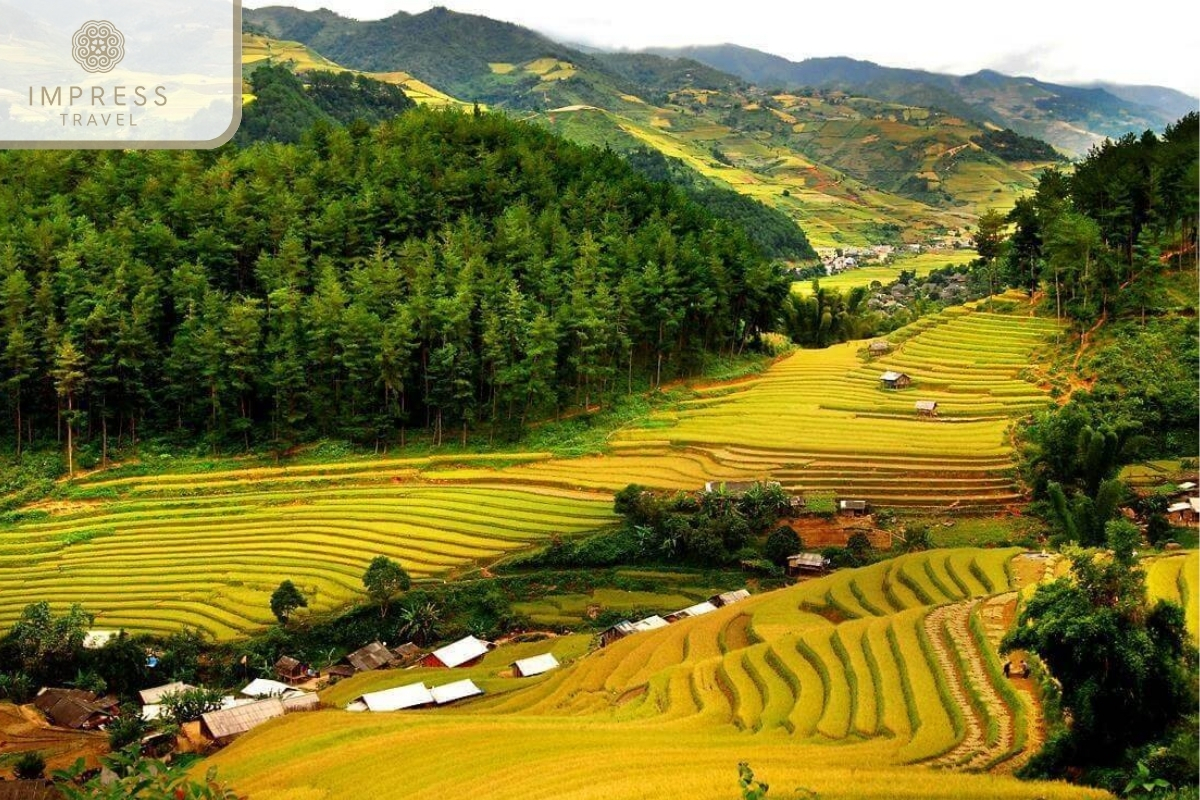 Each season Pu Luong has its own different face landscape