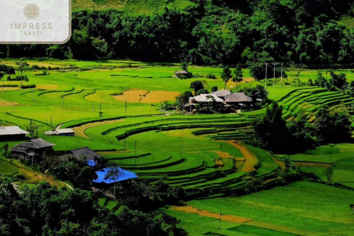 Thai Village of an Impressive Discovery Tour to the Thai People in Mu Cang Chai