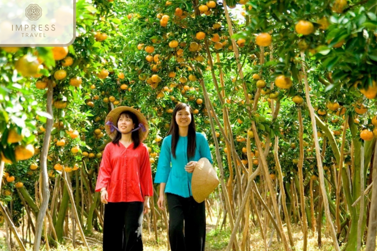 Vinh Kim Fruit Garden-Mekong Garden Tourism