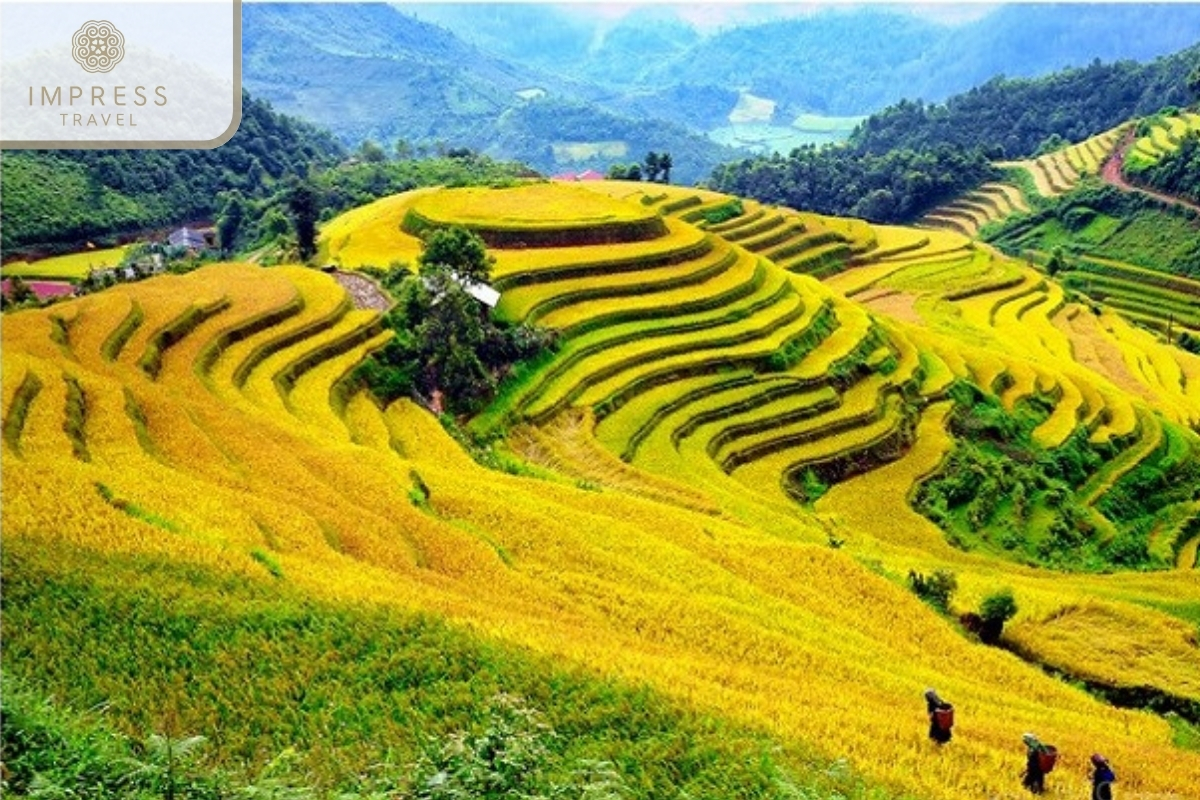 breathtaking beauty of Mu Cang Chai - breathtaking beauty of Mu Cang Chai