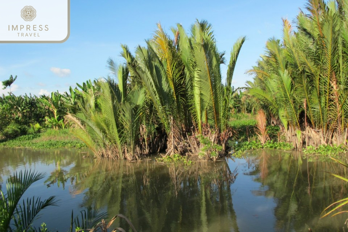 Peaceful scene- 2 Day 1 Night Ham Luong River Tour 