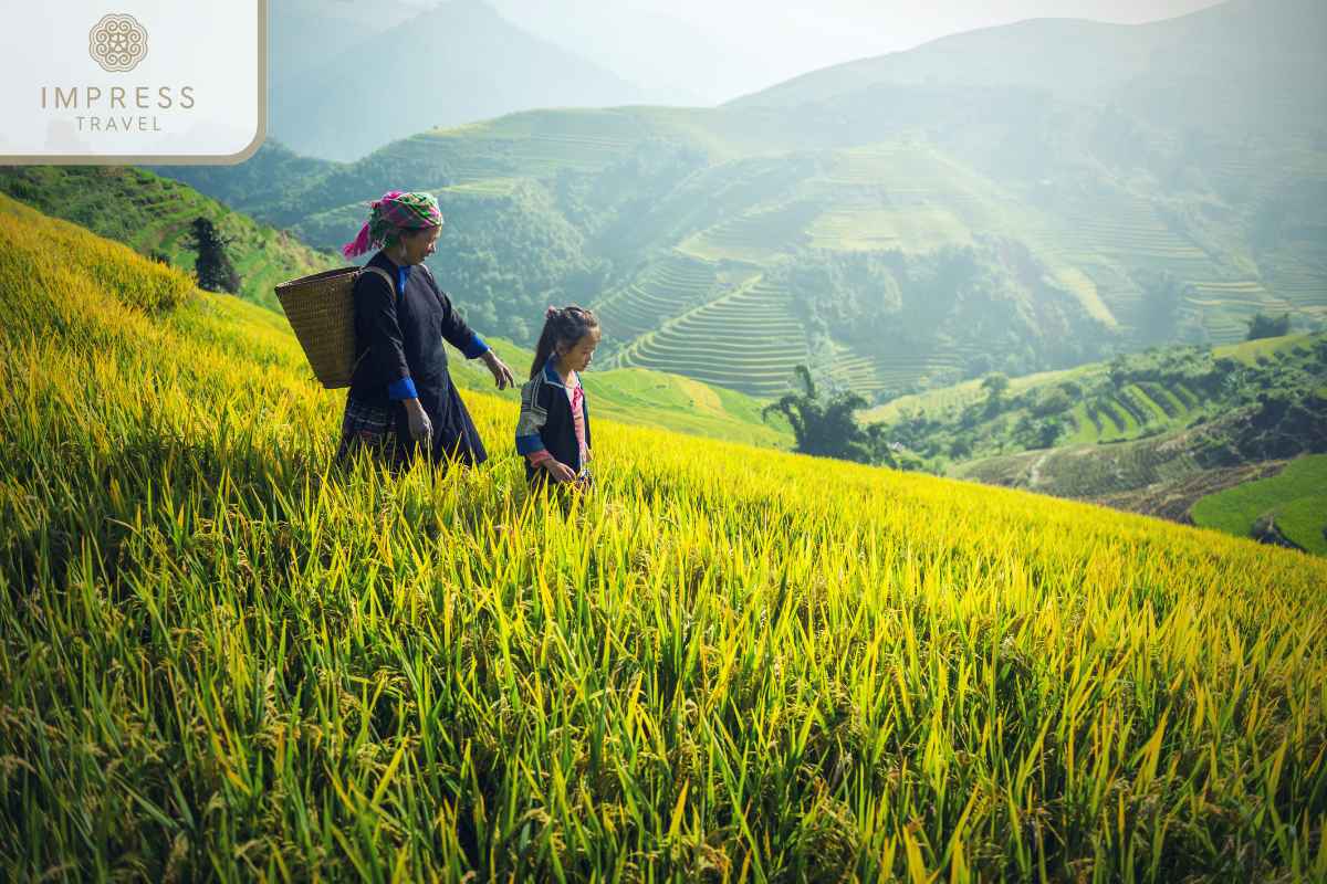 People go to the fields to work-ethnic culture encounters on Pu Luong tours