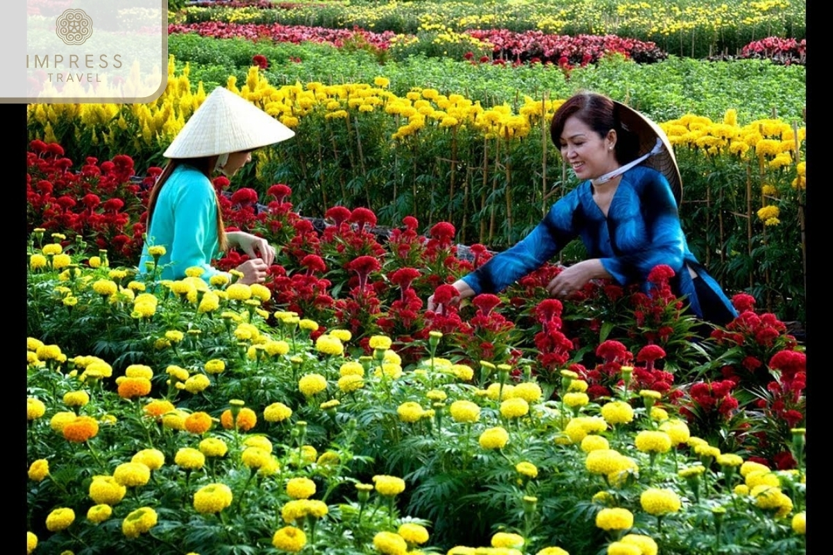 Tân Qui Đông Flower Village