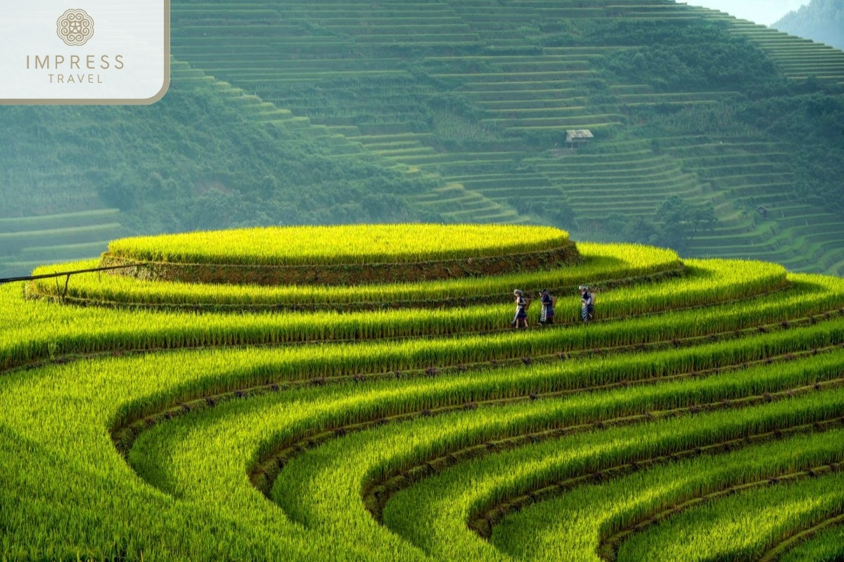 Mam Xoi Rice Terraces of H'mong Family & Homestay tour in Mu Cang Chai