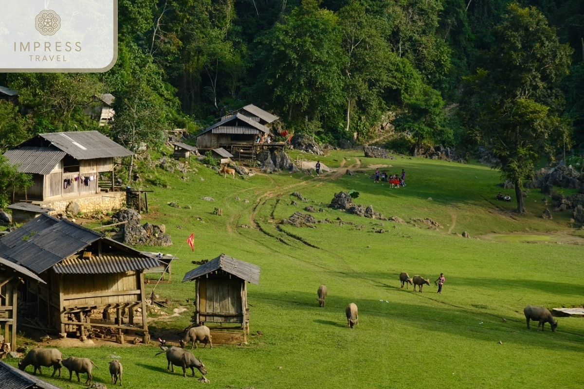 Traditional H'mong Villages of H'mong Family & Homestay tour in Mu Cang Chai