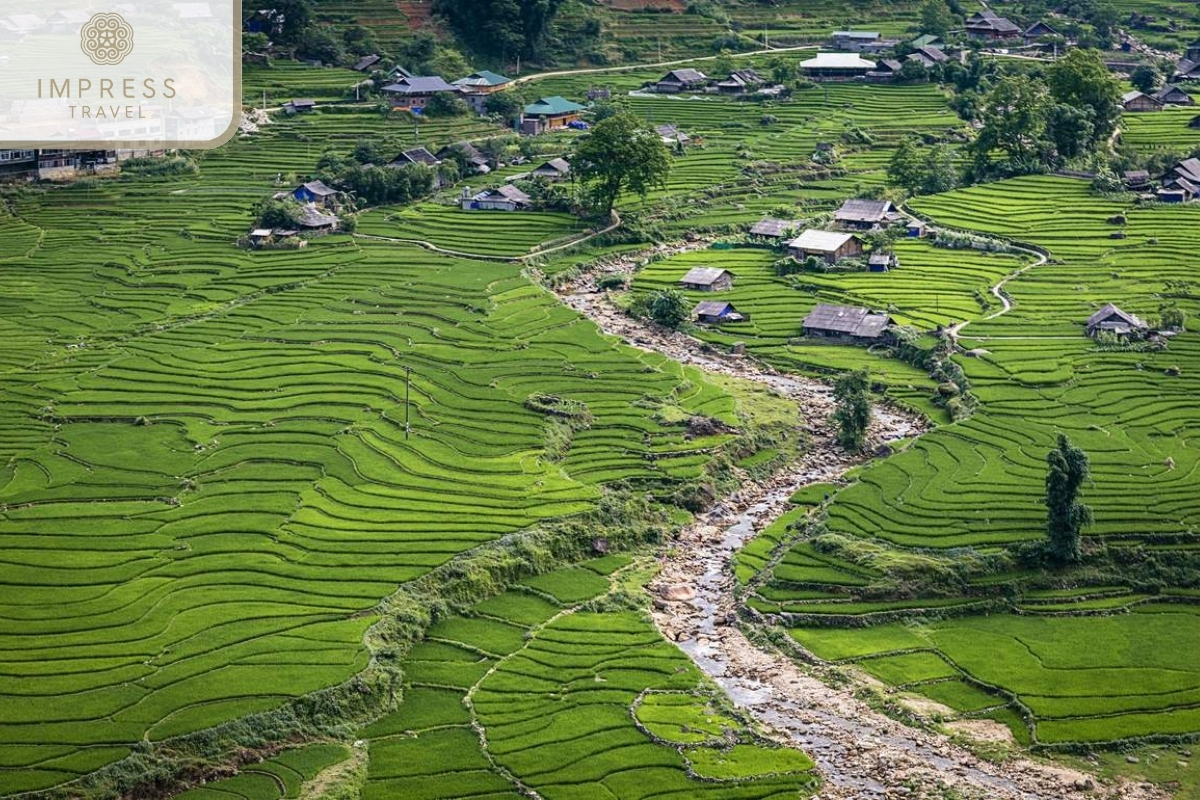 Muong Hoa Stream-Tour from Sapa to Seo Trung Ho Village