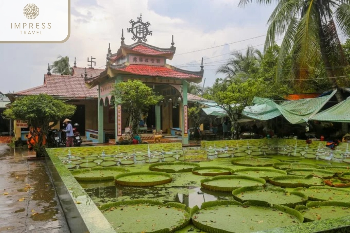 Phuoc Kien Pagoda of the Experience the Mekong Tour to See Fish Fly 