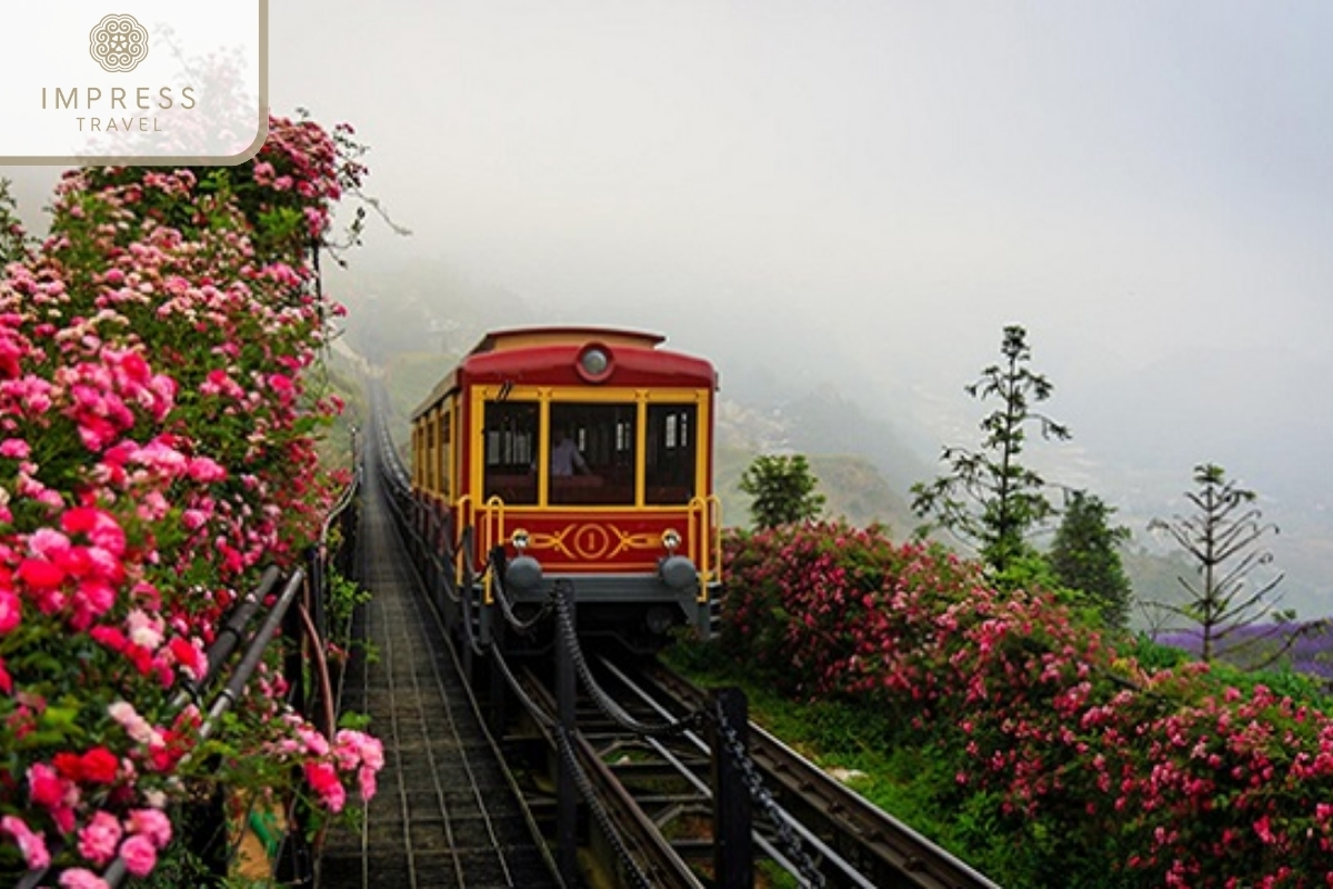 Mountain train in Sapa