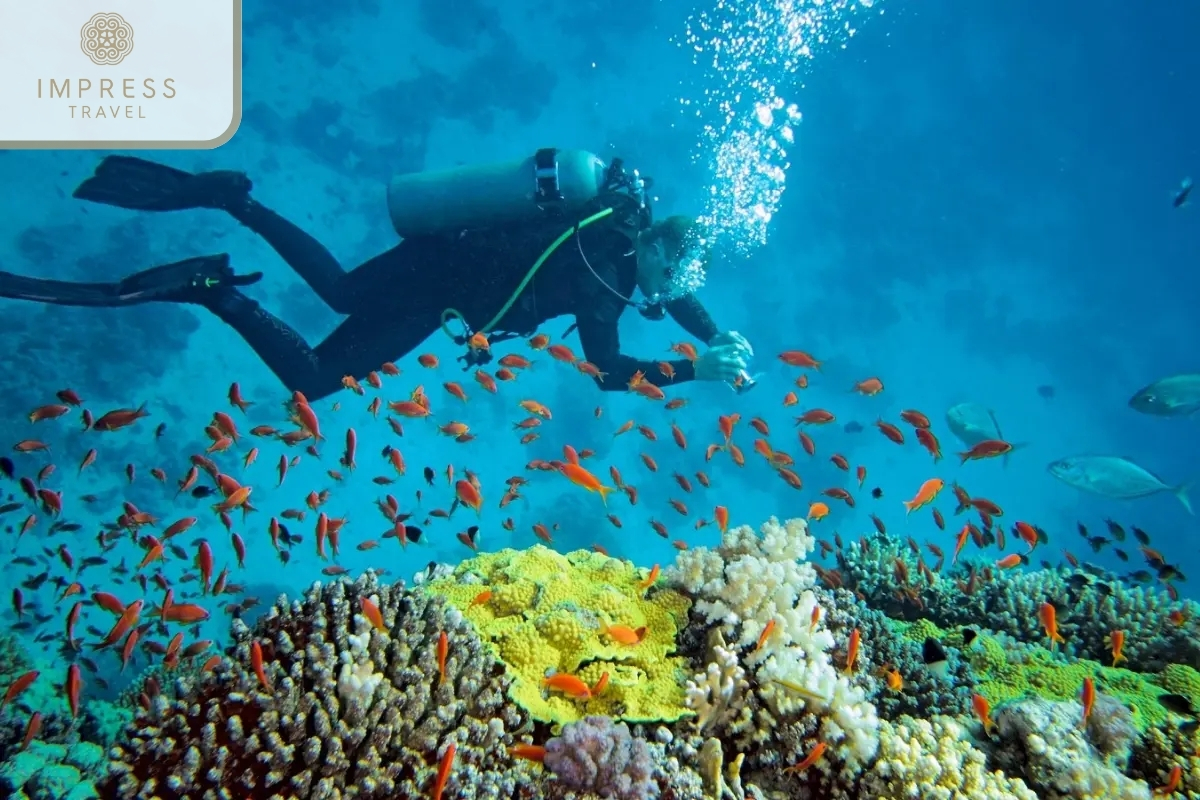 Diving to see coral reefs