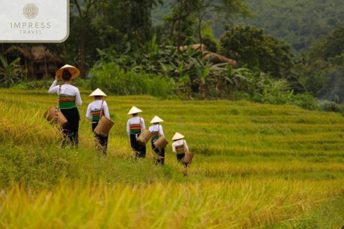 Thai Village - Fantastic tours to visit Muong Village in the Pu Luong area 