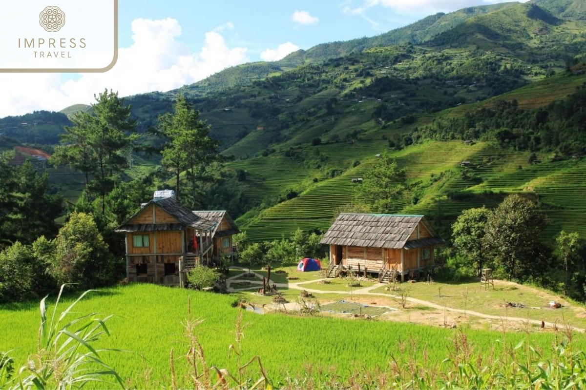 Mu Cang Chai of Full-day hiking tour with a Hmong guide from Mu Cang Chai Center