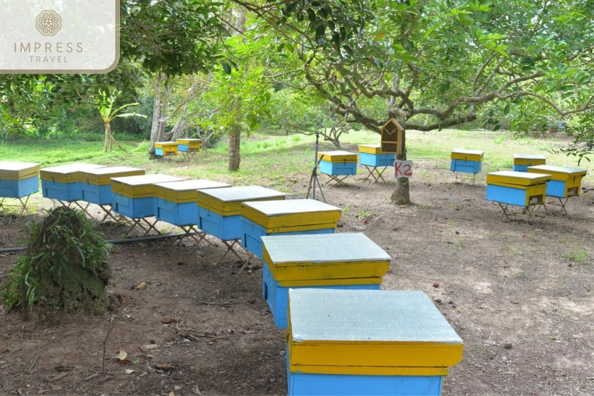 Honey Bee Farm- Tour Listening Southern Vietnamese Folk Music