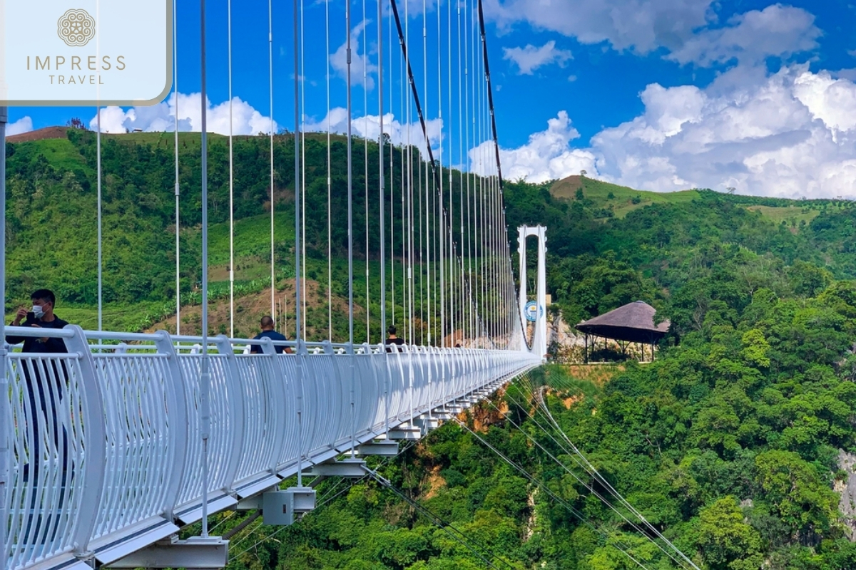 Admire the natural scenery from the glass bridge