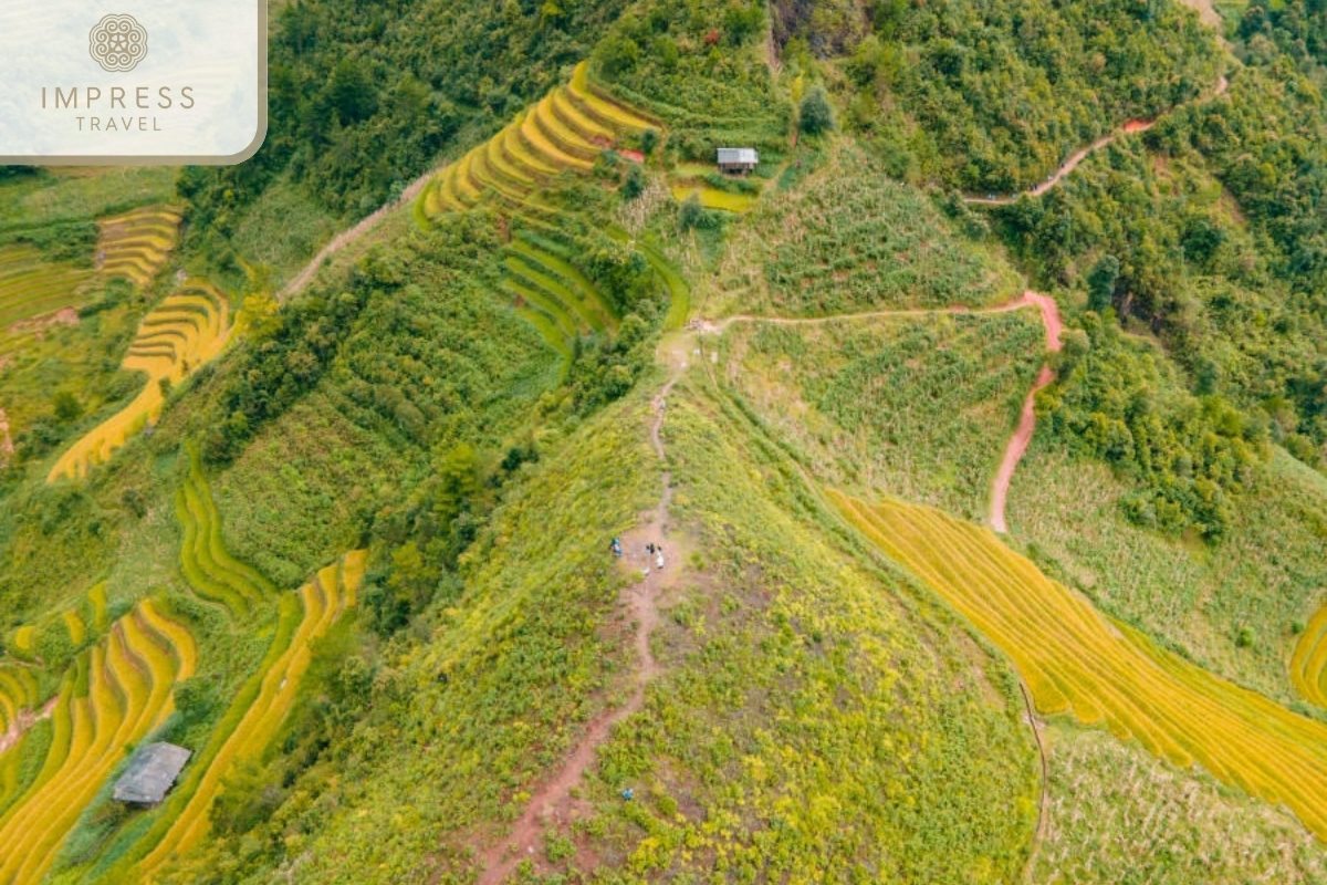 Half-Day Trekking Tours in Mu Cang Chai: Mam Xoi Be