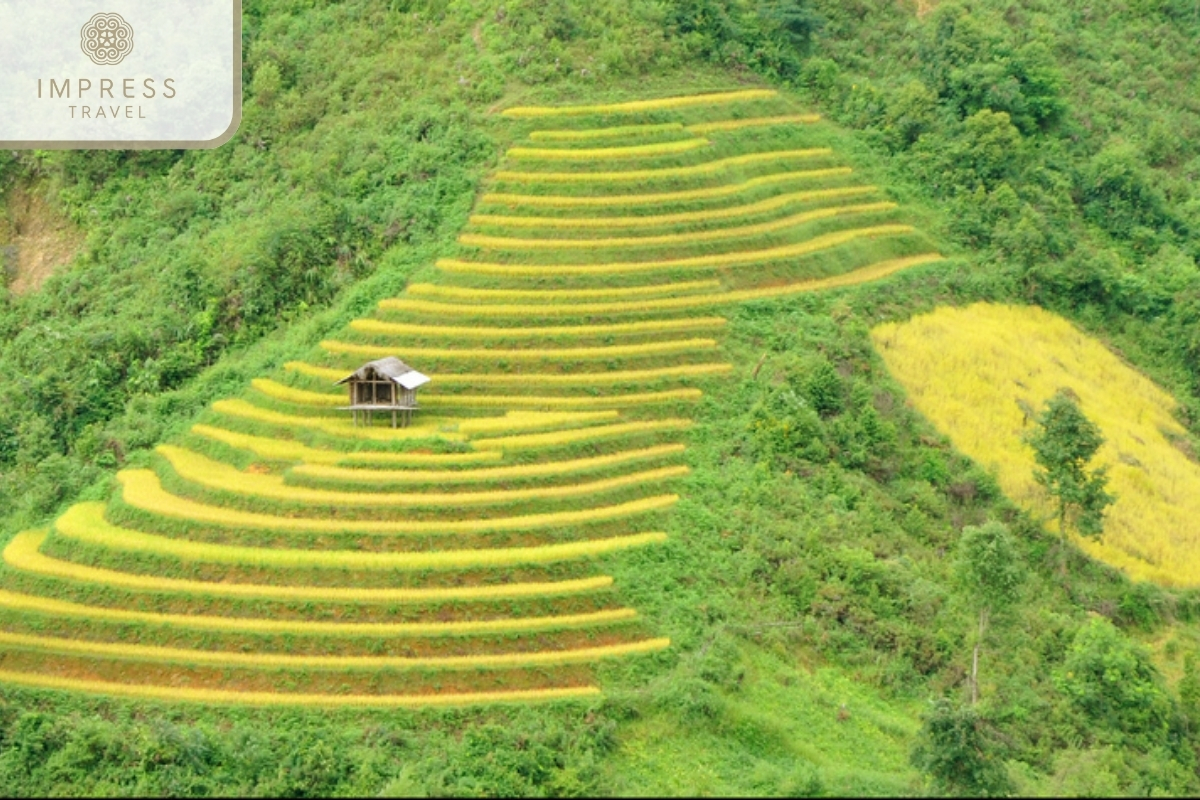 Half-Day Trekking Tours in Mu Cang Chai: La Pan Tan