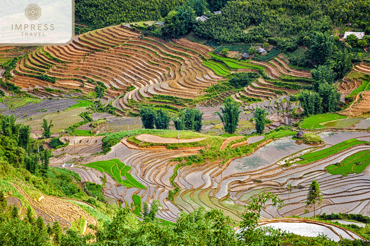 The terraced fields have just been cultivated-Trekking Tour to Ta Van Village in Sapa