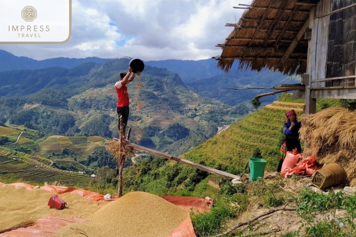 Half-Day Trekking Tour in Mu Cang Chai: H'Mong and Thai people