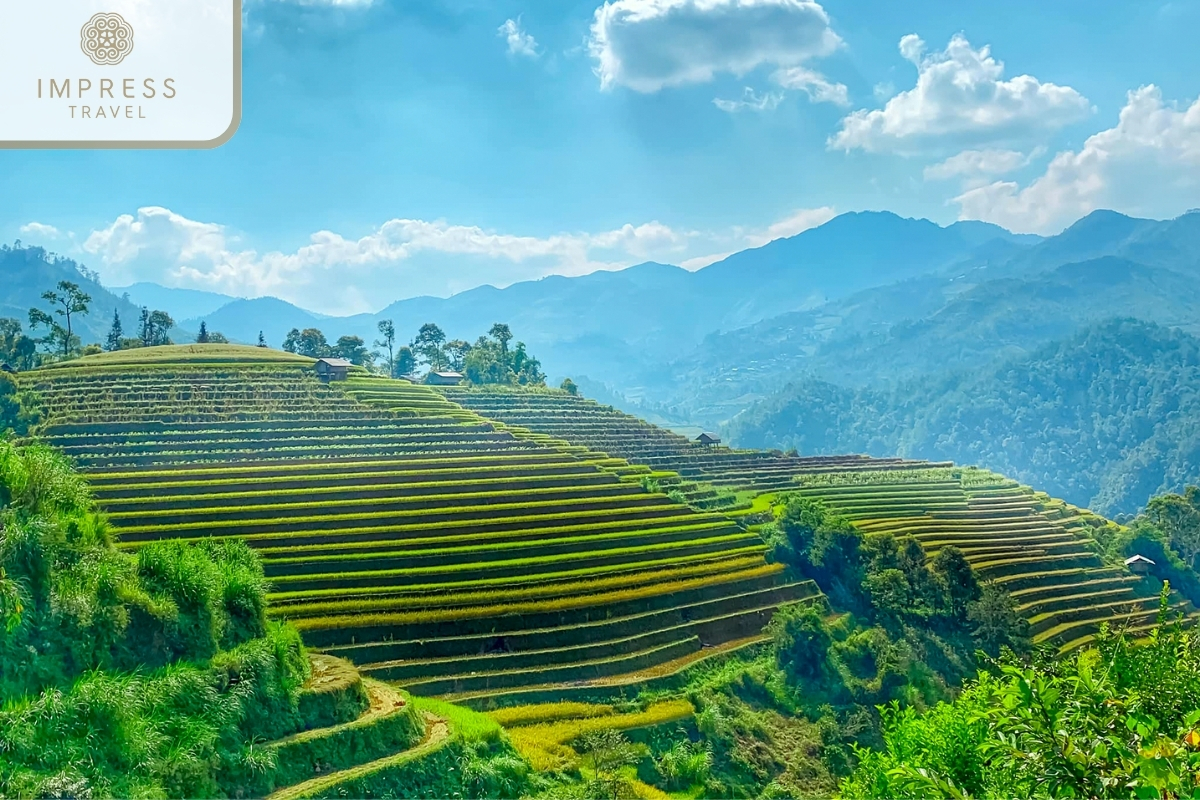 Mu Cang Chai 