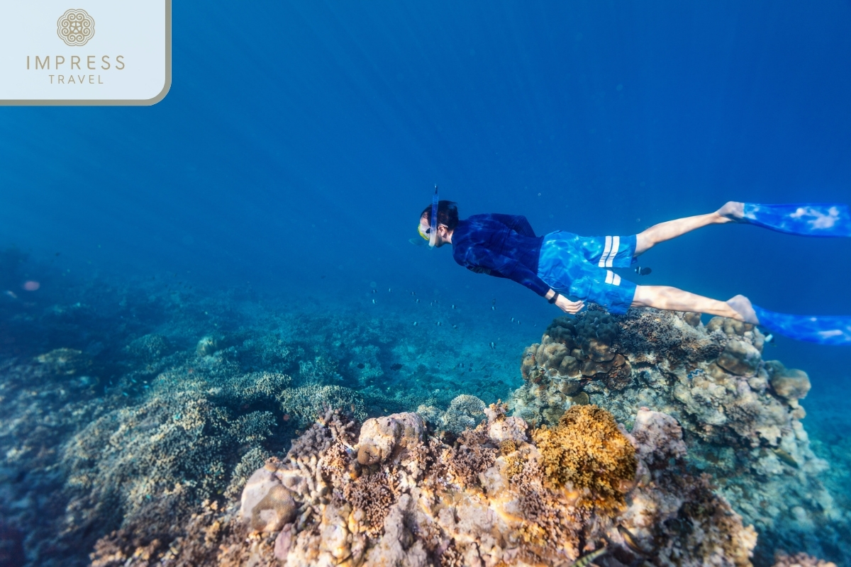  Snorkeling and Underwater Adventures in Hon Tam Island Relaxing Swimming Tours 