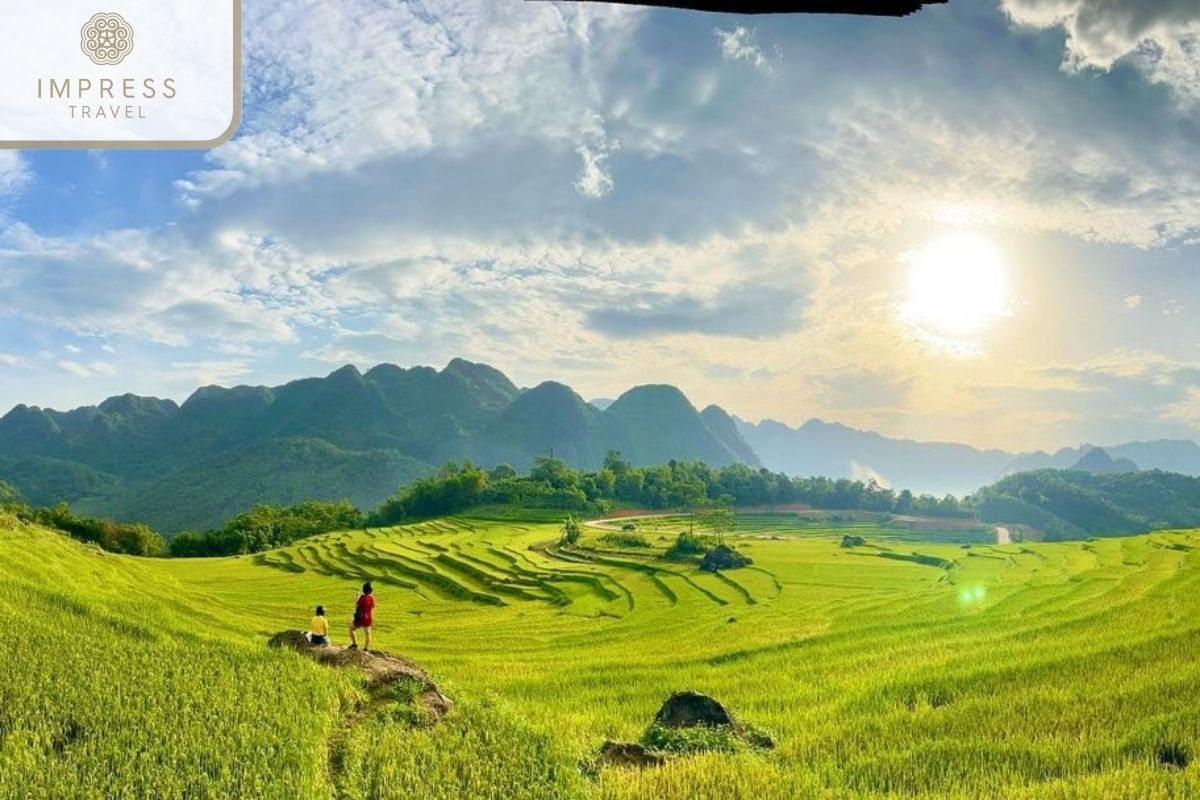 Terraced fields in Pu Luong