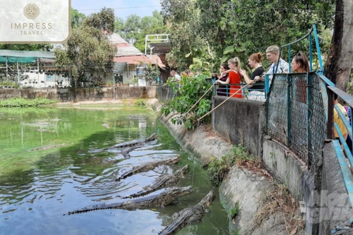 Crocodile fishing