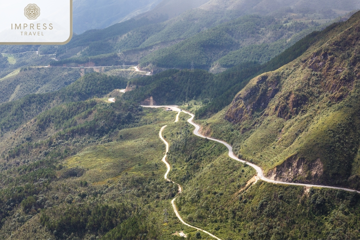 Fauna and flora around the pass - O Quy Ho Pass is one of the places must-see in Sapa